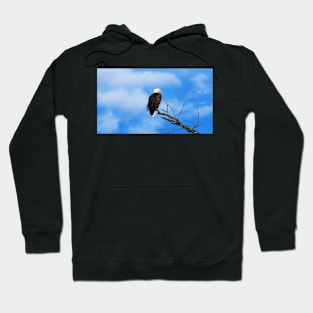 A Bald Eagle Perching In a Tree Hoodie